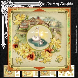 Country Delights