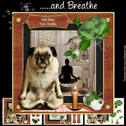 .....and Breathe