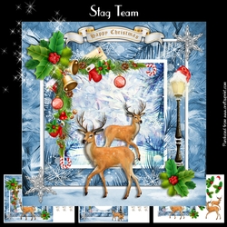 Stag Team