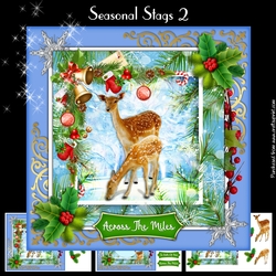 Seasonal Stags 2