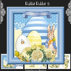 Rabbit Rabbit 5