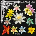All About Lilies