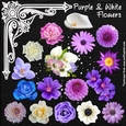 Purple & White Flowers
