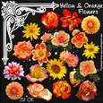 Yellow & Orange Flowers