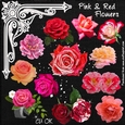 Pink & Red Flowers