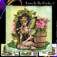 Fairies In The Garden 7