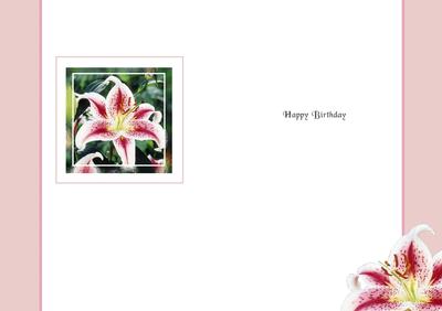 Happy Birthday Decorative Floral Stargazer Lily Insert for A