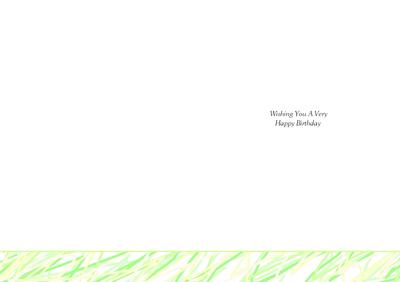 Wishing You a Very Happy Birthday A5 Portrait Insert Lime