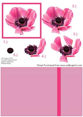 Candy Pink Anemone Decoupage Design Sheet