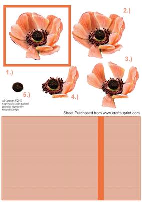 Burnt Orange Anemone Decoupage Design Sheet