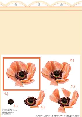 Lace Edge Card with Anemone Step by Step Decoupage