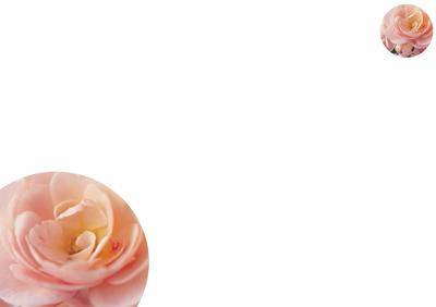 Pale Rose Floral Corner Vellum
