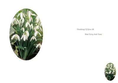 Thinking of You at This Sad Time - Snowdrop Vellum