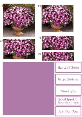 Impatients on Patio Pyramid Stacker Design Sheet
