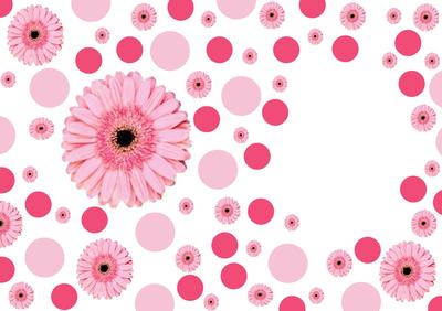Spots and Gerbera Pink Vellum
