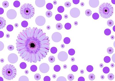 Spots and Gerbera Lilac Vellum