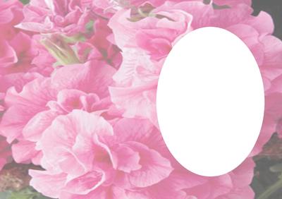 Full Sheet Pink Vellum with Aperture Verse