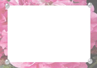 Full Sheet Pink Vellum with Rectangular Aperture and Pearl C