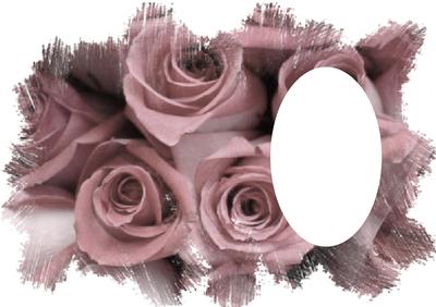 Roses Feathered Edge Vellum - Dusky Pink