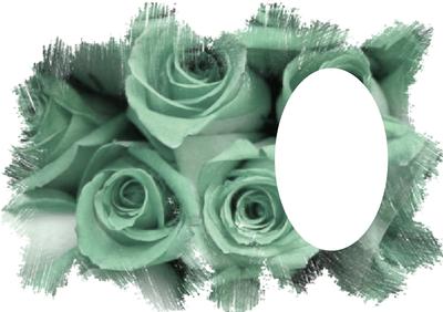 Rose with Feathered Edge Vellum or Insert