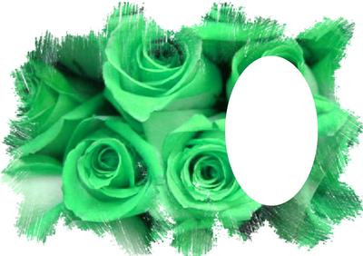 Rose with Feathered Edge Vellum or Insert