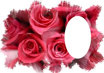 Rose with Feathered Edge Vellum or Insert Candy Pink