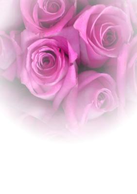 Pink Faded Rose Floral Vellum