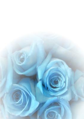 Powder Blue Faded Rose Vellum or Insert