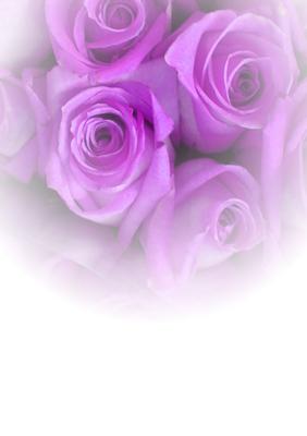 Luscious Lilac Rose Vellum or Insert