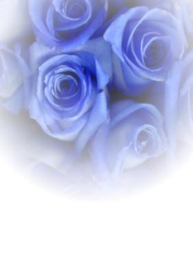 Royal Blue Faded Rose Vellum or Insert
