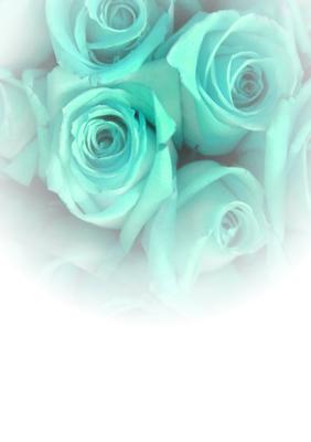 Pale Turquoise Rose Vellum or Insert