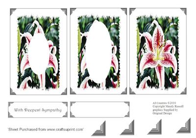 Inverted Stargazer Lily Design Sheet Simple But Elegant