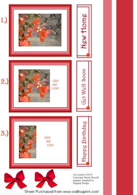 Unusual Side Tunnel Framed Boug Design Sheet