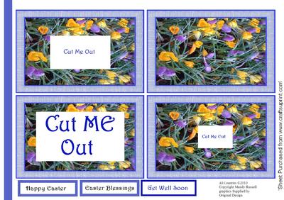Easter Tunnel Sheet of Crocus Flowers
