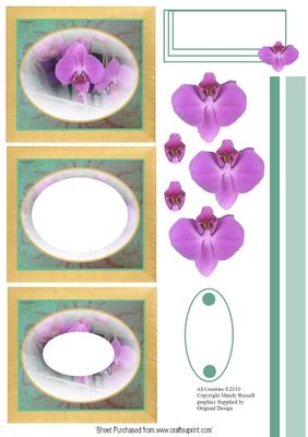 Framed Orchid Tunnel / Oval Invertage Design Sheet
