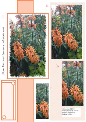 Unusual Orange Flower Pyramid Design Sheet
