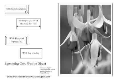 With Sympathy Design Sheet Black and White Fuschia