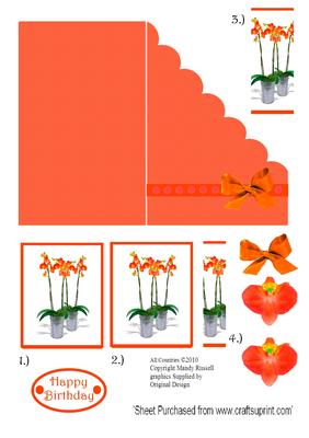 Cut Fold and Create Peach Phalenopsis Orchid Card
