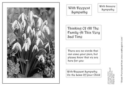 Black and White Snow Drops Sympathy Card