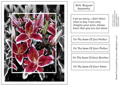 Words of Comfort - Stargazer Lilies Sympathy Card