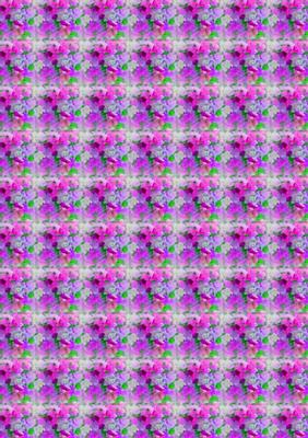 Mock Vintage Vellum - Bright Lilac Sweet Pea
