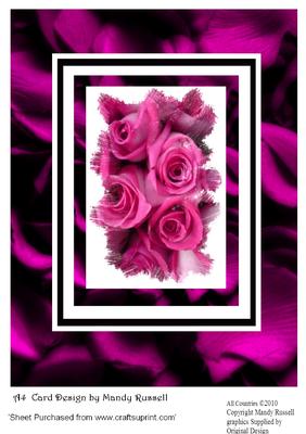 A4 Card Design Feathered Edge Roses