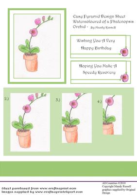 Easy Pyramid Design Sheet of a Watercolour Phalenopsis Orchi
