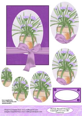 Hand Painted Agapanthus Pyramid Project Design Sheet