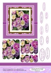 Large Square Card Front Card Design Sheet with Scalloped Sta