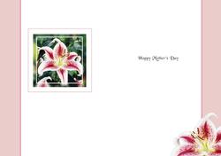 Happy Mothers Day Decorative Floral Stargazer Lily Insert Fo