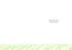 Wishing You a Very Happy Birthday A5 Portrait Insert Lime