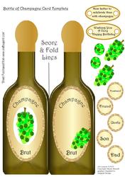 Bottle of Champagne Card Template Design Sheet