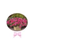 Insert for the Invertage Framed Flowers Design Sheet