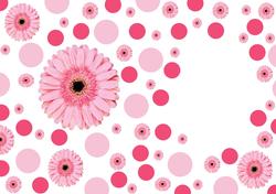 Spots and Gerbera Pink Vellum